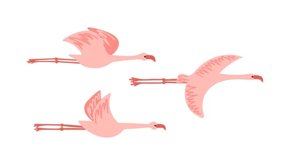 Flying cute pale pink flamingo flock clipart — Stock Vector