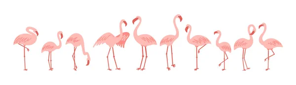 Standing cute pale pink flamingo vector clipart — Stock Vector