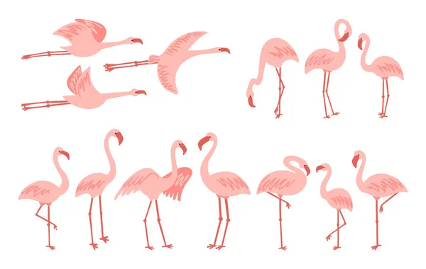 Standing and flying cute pale pink flamingo clipart — Stock Vector