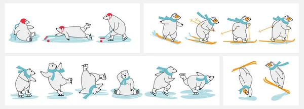 Kutup ayısı kış sporu eğitimi. Kayak, snowboard, paten, serbest stil kayak ve buz hokeyi.