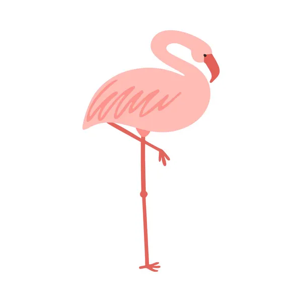 De pé bonito rosa pálido flamingo vetor ilustração —  Vetores de Stock