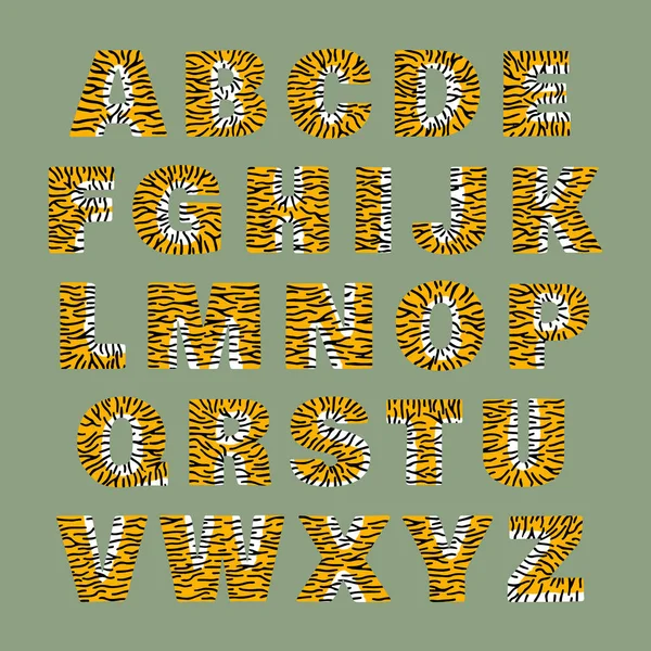 Tigeralphabet aus fetten Buchstaben weiß und orange mit schwarzen Streifen — Stockvektor