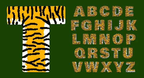 Тигриный алфавит из жирных букв белый и оранжевый с эффектом гранжа черных полос — стоковый вектор