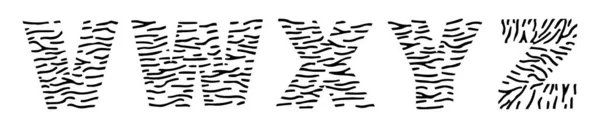V W X Y Z Tiger velká písmena z černých pruhů — Stockový vektor