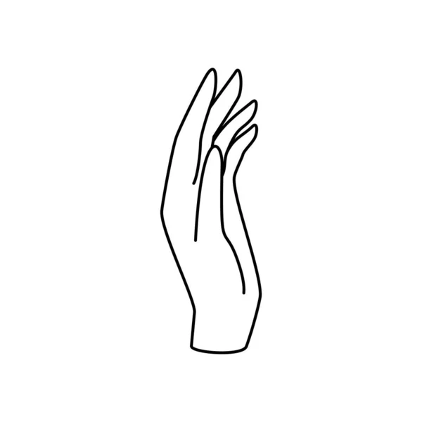 Ilustração de vetor de mão de linha com palma relaxada, dedos e polegar em expressões elegantes. Metáfora de cuidado e apoio. — Vetor de Stock