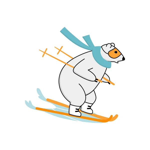 Kutup ayısı yokuş aşağı snowboard yapıyor. Aşırı kış sporları konsepti.