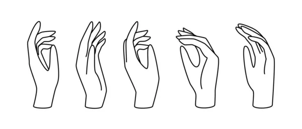 Hand gesture linear vector illustration. Thin female hand as a symbol of blessing, mercy, farewell, prayer and gratitude —  Vetores de Stock