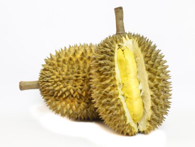 Durian beyaz arkaplanda izole edildi