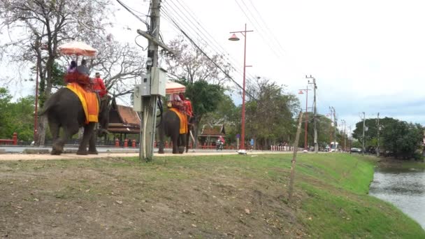 2022年2月20日 观光客乘坐大象去参观Ayutthaya历史公园的古寺 在科维奇流行病流行的时代 这里有着一种新的正常的生活方式 — 图库视频影像