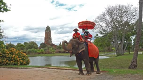 Ayutthaya Tailândia Fevereiro 2022 Turista Fazer Passeio Elefante Para Ver — Vídeo de Stock