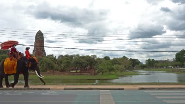 Ayutthaya Thailandia Febbraio 2022 Turista Fare Giro Elefante Vedere Antichi — Video Stock