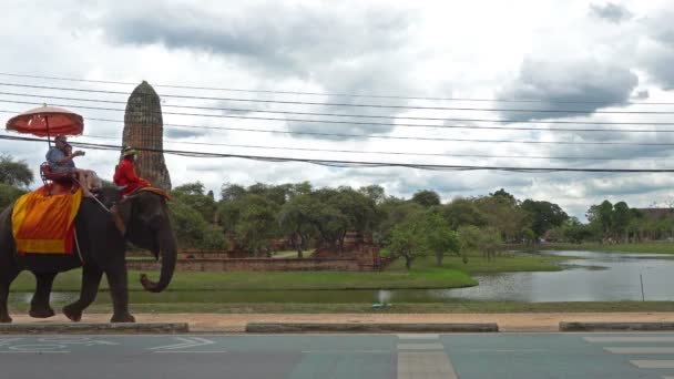 Ayutthaya Thailand Februar 2022 Tourist Macht Einen Elefantenritt Antike Tempel — Stockvideo