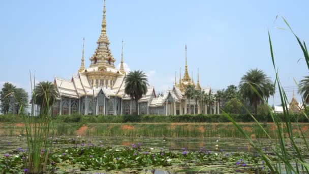 Wat Non Kum Lotosovým Rybníkem Považován Symbol Buddhismu Okrese Sikhio — Stock video