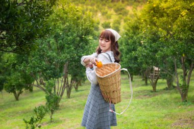 Elbiseli genç bir kadın bahçedeki ağaçlardan topladığı portakal sepetine elini sokuyor. Bahçede mutlu mesut çalışan çiftçi konsepti