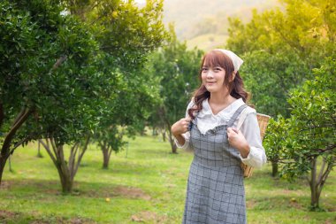 Sepetli bir biçerdöver içindeki genç kadın bahçede portakal toplamaya hazır. Bahçede mutlu mesut çalışan çiftçi konsepti