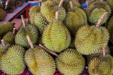 Satılık bir sürü Durian var. Tayland 'ın ünlü ve popüler bir meyvesidir..
