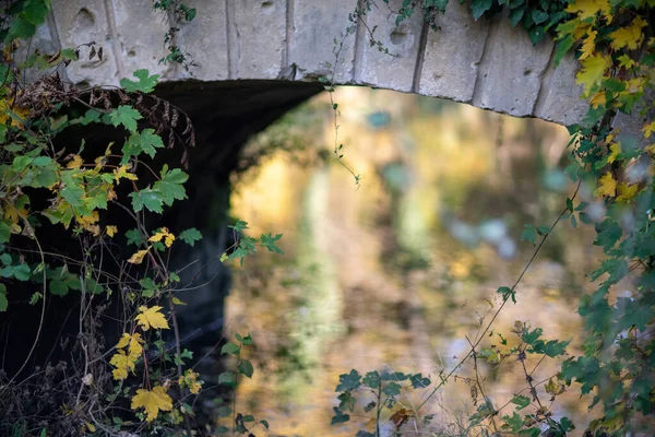 A ponte velha do aqueduto na natureza bonita do outono — Fotografia de Stock