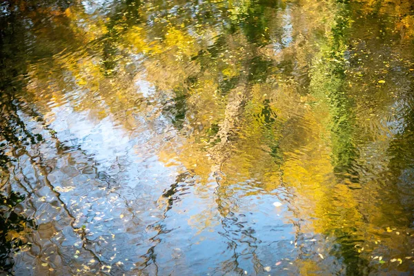 Autumn River Creek Bach im Wald. Wald Bäume Landschaft Wald fallen. — Stockfoto