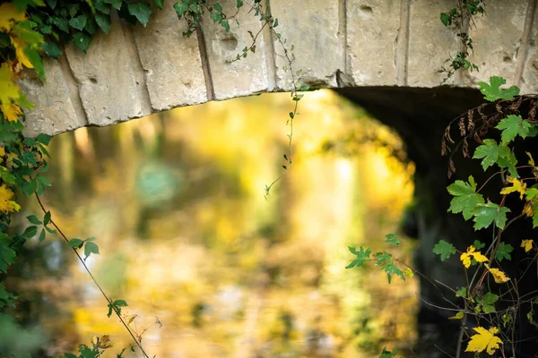 A ponte velha do aqueduto na natureza bonita do outono — Fotografia de Stock