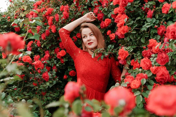 Kırmızı gül bahçesinde kırmızı elbiseli güzel bir sarışının portresi. — Stok fotoğraf