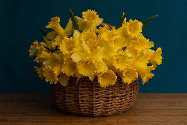 A bouquet of daffodils close-up in a wicker basket. White daffodils with a yellow middle, useful for postcards, backgrounds, greetings, there is a place for inscription. — Stock Photo, Image