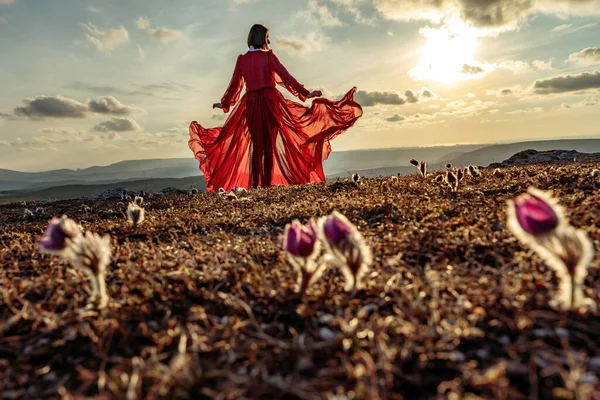 El ascenso de la mística. puesta de sol sobre las nubes con una chica en un vestido rojo largo. Hay una hierba de ensueño en el prado con flores púrpuras. —  Fotos de Stock