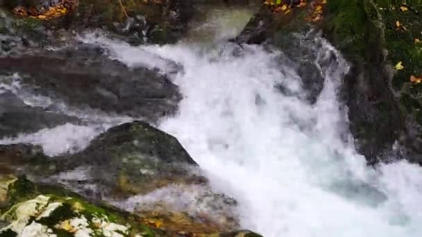 Güçlü azgın whitewater şelale zorla kayalık bir kenarın üzerine düşüyor. Kristal berraklığında buzul su akışı uçurumdan düşüyor. — Stok video