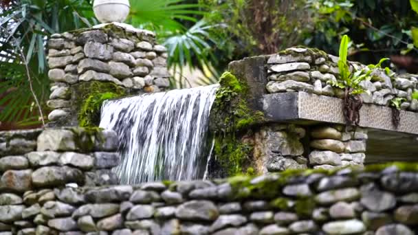 L'eau coule sur le volant d'un vieux moulin. La vieille roue est envahie d'algues. Ralenti, gros plan. — Video