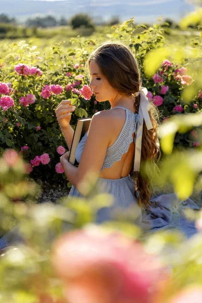 Uma mulher bonita com cabelos castanhos longos fica perto de arbustos de rosa de chá em um jardim florescente. Vestido com um vestido azul. Perfume conceito de publicidade. — Fotografia de Stock