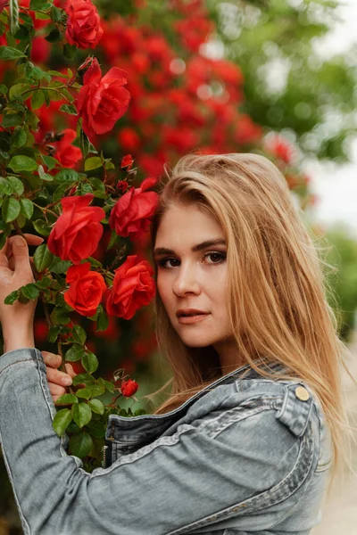 Une jolie blonde se tient près d'un buisson avec des roses rouges. Femme européenne attrayante dans une veste en denim. — Photo
