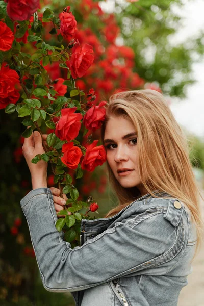 Une jolie blonde se tient près d'un buisson avec des roses rouges. Femme européenne attrayante dans une veste en denim. — Photo