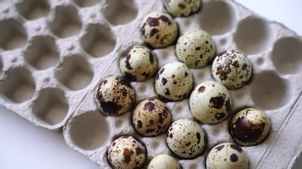 Ovos Codorna Manchados Uma Caixa Ovos Fundo Leve Produtos Ecológicos — Vídeo de Stock