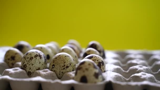 Ovos Codorna Manchados Uma Caixa Ovos Fundo Amarelo Produtos Ecológicos — Vídeo de Stock