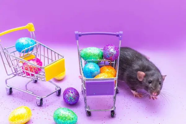 Happy Easter Background Easter Eggs Colorful Shopping Basket Purple Paper — Stock fotografie