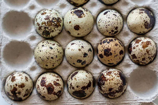 Spotted quail eggs in an egg box on a light background, natural eco-friendly products