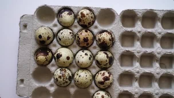 Ovos Codorna Manchados Uma Caixa Ovos Fundo Leve Produtos Ecológicos — Vídeo de Stock