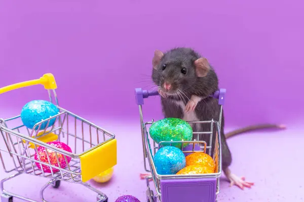 Feliz Passado Pascal Ovos Páscoa São Coloridos Uma Cesta Compras — Fotografia de Stock