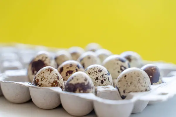Spotted quail eggs in an egg box on a yellow background, natural eco friendly products