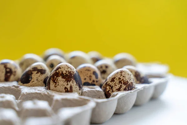 Spotted quail eggs in an egg box on a yellow background, natural eco friendly products