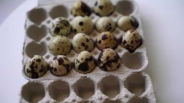 Εντοπίστηκαν Αυγά Ορτυκιού Κουτί Αυγών Ελαφρύ Φόντο Φυσικά Φιλικά Προς — Αρχείο Βίντεο