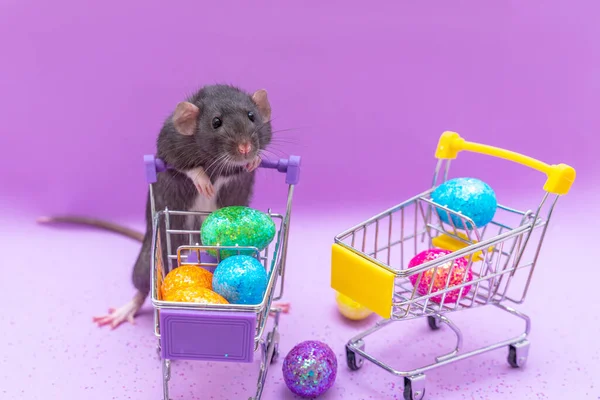 Happy Easter Background Easter Eggs Colorful Shopping Basket Purple Paper — Stock fotografie