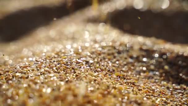 Close-up of sand pouring slowly, against the background of golden bokeh, sunset light. Slow motion. — Stock Video