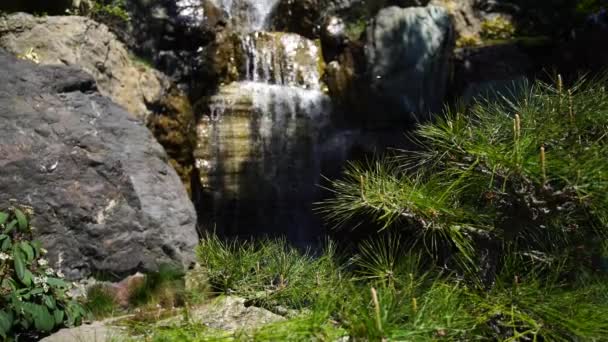 Cachoeira em um jardim japonês, a água flui lentamente sobre grandes pedras de origem vulcânica — Vídeo de Stock