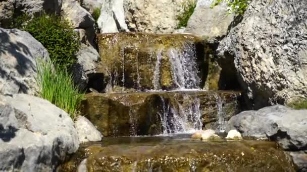 Cascata in un giardino giapponese, l'acqua scorre lentamente su grandi pietre di origine vulcanica — Video Stock