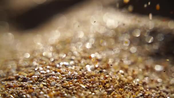 Närbild Sand Häller Långsamt Mot Bakgrund Gyllene Bokeh Solnedgång Ljus — Stockvideo