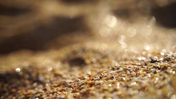 Detailní Záběr Písku Který Pomalu Valí Pozadí Zlatého Bokhu Zapadajícího — Stock video