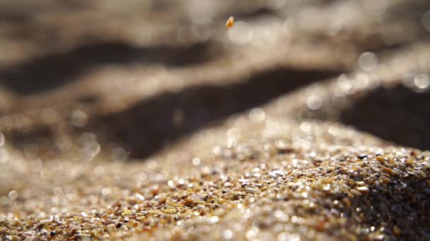 Close Sand Pouring Slowly Background Golden Bokeh Sunset Light Slow — Stock Video