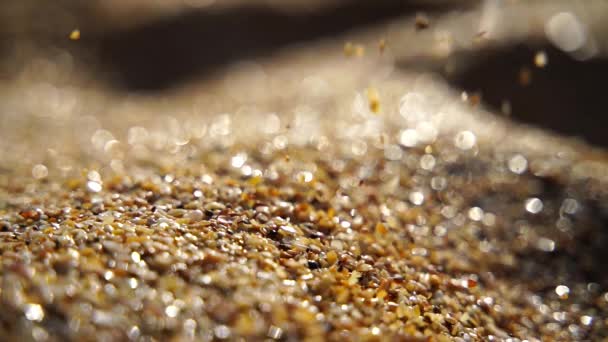 Close Sand Pouring Slowly Background Golden Bokeh Sunset Light Slow — Stock Video
