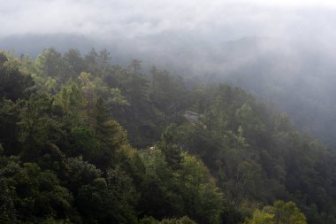 Sabahları Tayland, Chiangmai 'deki Inthanon Milli Parkı' nda güzel bir manzara..