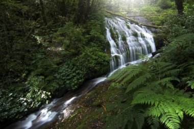 Lan Sadat, Kew Mae Pan Şelalesi Chiang Mai, Tayland 'daki Doi Inthanon Ulusal Parkı' nda.